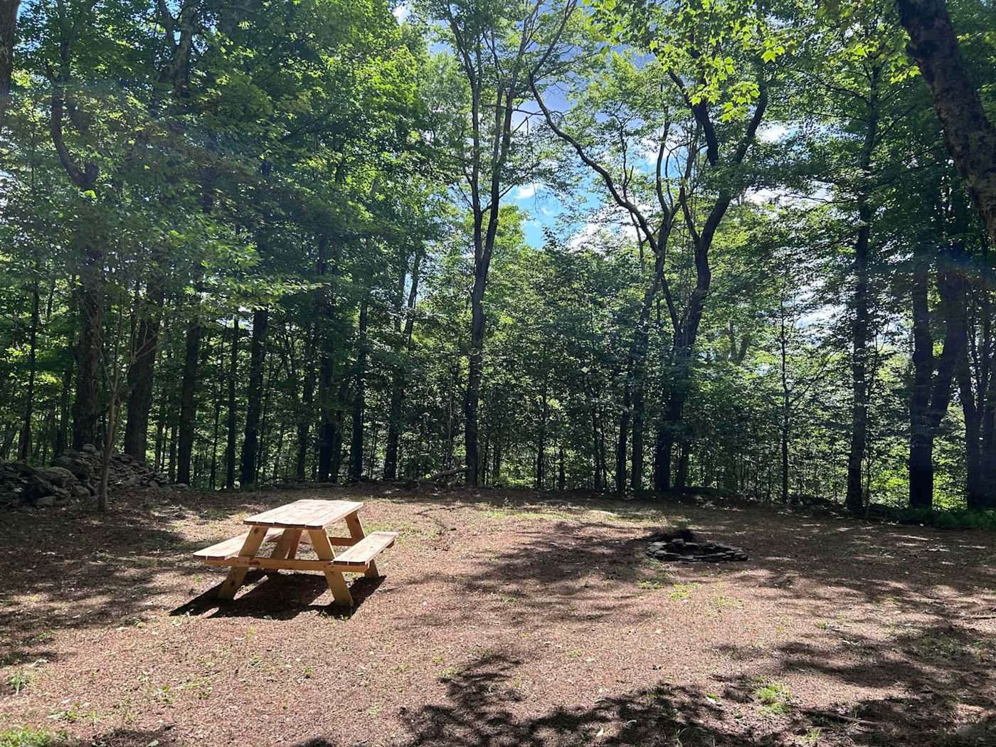 A picnic table and fire ring on a cleared pad in the woods at the Secluded Hilltop Fern Forest site